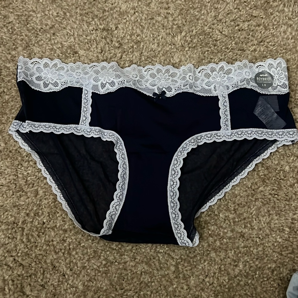 Brand new sheer Aerie Boy Brief in Large